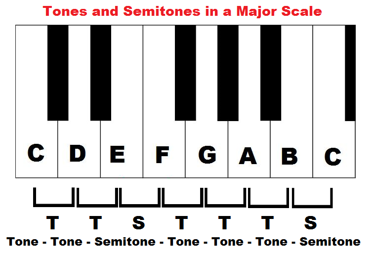 Whole Tones and Semitones and Half Steps) Music