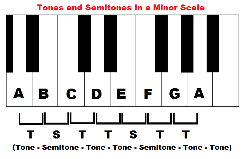 Whole Tones and Semitones and Half Steps) Music
